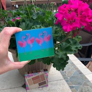 Tarte High Performance Naturals In Let’s Flamingo